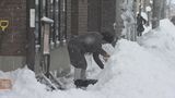 「起きたら膝の上まで雪がいっぱい」会津中心に大雪 交通機関への影響続く | 福島のニュース│TUF