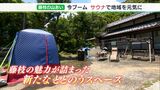 緑茶の水風呂に紅茶のロウリュ 藤枝の山あいにサウナで「ととのう」プロジェクト進行中(静岡県) | 静岡のニュース | SBSNEWS | 静岡放送