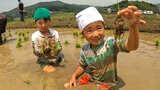 小学生が園児と田植えに挑戦 秋に収穫するコメの一部はアフリカへ寄付へ 大分 | 大分のニュース|OBS NEWS|大分放送