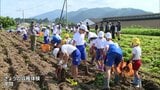 かんしょ生産盛んな串間市　地元の小学生が収穫体験　|　MRTニュース ｜ ＭＲＴ宮崎放送
