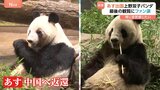 「楽しい“パン生”を送って」双子パンダ「シャオシャオ」「レイレイ」中国へ 最後の観覧に別れ惜しむファンは涙|TBS NEWS DIG