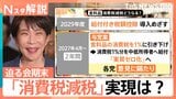 議論進まぬ消費税減税…総理「8月頭でも間に合う」 17日に会期末 積み残した重要法案どうなる？【Nスタ解説】|TBS NEWS DIG