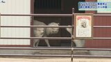 サラダファーム事業停止 観光農園も7日から休園 地域は再開望む 岩手・八幡平市|TBS NEWS DIG