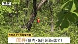 米沢市で成獣のクマ1頭目撃　朝日町では山菜採り中の男性がクマに襲われ大ケガ　県内でクマの目撃相次ぐ（山形）　|TBS NEWS DIG