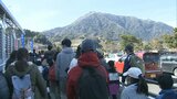 「べつだいウォーク」別大毎日マラソン合わせ1500人がウォーキング | 大分のニュース|OBS NEWS|大分放送