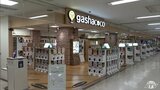 カプセルトイの専門店「gashacoco」が青森県内に初出店! 販売機の設置台数は600台と県内“最多クラス” 「いろんな方に何かしらお気に入りが見つかる」|TBS NEWS DIG
