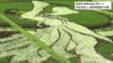 田んぼアート「天を仰ぐ羽生結弦さん」そして、能登半島地震からの復興願う「白龍」も 宮城・角田市|TBS NEWS DIG