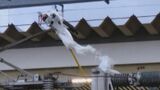 福岡県内のJR架線にビニールひっかかる 特急ソニック18本運休 遅れも発生 大分 | 大分のニュース|OBS NEWS|大分放送