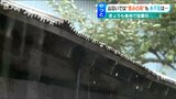 「ひび割れた田んぼに恵みの雨?」水不足の山沿いで待ちに待った雨が…“降り癖”はつく?農家の祈りは|TBS NEWS DIG