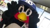 「なまでやきゅうをみよう」つば九郎がヤクルトvsカープ戦をPR 今シーズンの仕上がりはいかに…!? | 愛媛のニュース - Nスタえひめ|あいテレビは6チャンネル