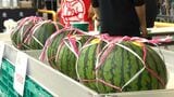 人気のスイカは1時間半で完売！スイートコーンにオクラなど　南薩の旬の農作物ずらり　鹿児島|TBS NEWS DIG