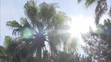 うれしくない全国最長記録… 35度以上の「猛暑日」25日連続で うだる福岡・太宰府市 | 福岡のニュース|RKB NEWS|RKB毎日放送