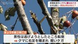 柿を求めて山里に? 新聞配達の男性 クマに襲われケガ 富山県はツキノワグマ出没警報を発表 | 富山のニュース|天気・防災|チューリップテレビ