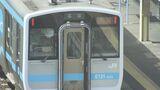 JR八戸線 線路上の倒木に接触で運転見合わせ 上下各1本が運休 下り1本で遅れ|TBS NEWS DIG