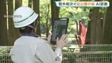 倒木相次ぐ世田谷「砧公園」で“AI樹木診断”　緊急点検中　57本は倒木の危険性が判明|TBS NEWS DIG