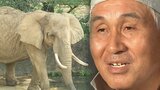 国内最高齢”奇跡のゾウ”と60歳飼育員が乗り越えた最大の危機とは?40年近くのバディ関係もあとわずか…|TBS NEWS DIG