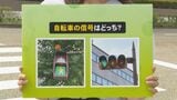 “自転車”の信号はどっち?警察に聞いてみると… “いまさら聞けない”交通ルールの疑問|TBS NEWS DIG