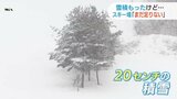 さらさらのパウダースノー･･･20センチの雪でもスキー場営業できない　|　山口のニュース・天気・防災｜tys NEWS｜ｔｙｓテレビ山口