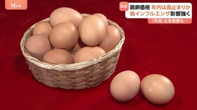 卵価格の高止まり年内続く見通し　鳥インフルに「月見」メニューの需要増も影響|TBS NEWS DIG