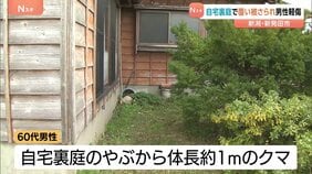 クマが転んだ男性に覆いかぶさる 60代男性が裏庭でクマと遭遇 左わき腹を引っかかれる 新潟|TBS NEWS DIG