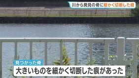 発見の骨に細かく切断した痕 逮捕の医師「骨と体の部分は別々に切断して捨てた」妻の遺体を川に遺棄した疑い 兵庫・尼崎市|TBS NEWS DIG