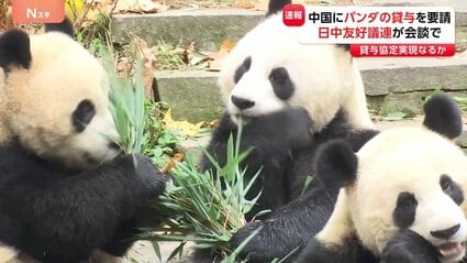 img_20b4f97b45ecab43c70b38087f