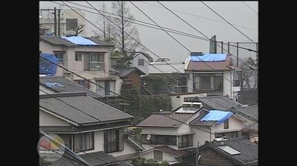 斜面地に広がる青い屋根「台風19号 猛烈な風で甚大な被害」ブルー