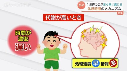 上がっていくのに時間はかかるけど、下がっていく時間は早いね 年々早くなる「体感時間」の謎を解明 遠足の帰り道が短く感じる！脳の