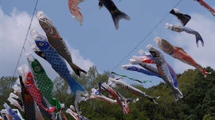 神道山に色とりどりのこいのぼり 全国各地から寄付された約80匹 子ども