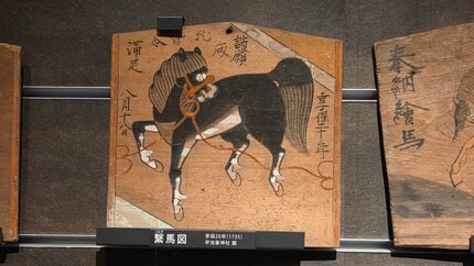 馬好き必見！2026年は午年 遠野市内の神社に奉納され、保管されていた