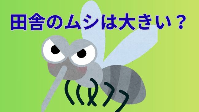 「田舎のムシは大きい！？」帰省や旅先で感じる「違い」の理由は…エサが豊富で大型化？そもそも種類が違う？|TBS NEWS DIG