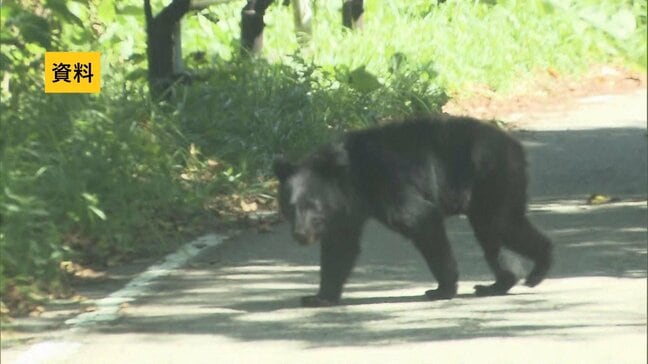 【クマ出没情報】クマが市道から水田へ立ち去る　会津若松市河東町　23日午前11時半前　福島|TBS NEWS DIG