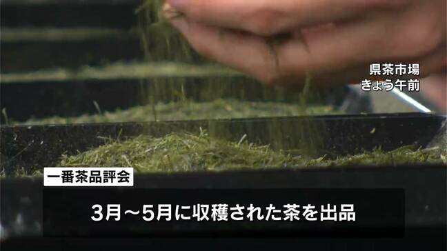 「一番茶も日本一の鹿児島」茶業関係者集まる一番茶の品評会「内心ほっと、世界中のバイヤーも鹿児島茶に注目」|TBS NEWS DIG