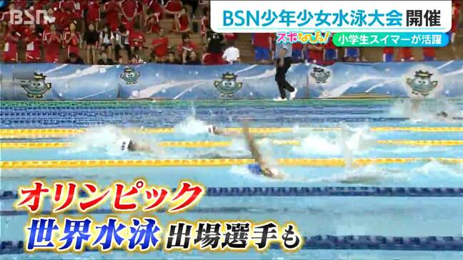 五輪や世界水泳で活躍した選手も輩出 新潟県No.1小学生スイマーは? 今年で54回目を迎えた伝統の『BSN少年少女水泳大会』|TBS NEWS DIG