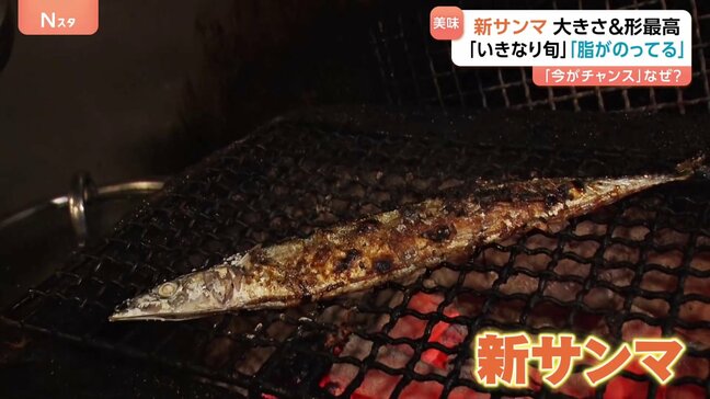 今年の新サンマ「大きさも形も最高」鮮魚店からは「今がチャンス!」例年より安くて脂がのっている|TBS NEWS DIG