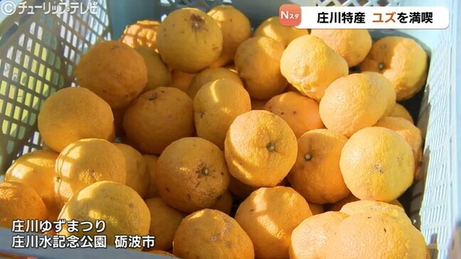 「やや大粒で香り上々」庄川ゆずまつりで旬のユズ堪能 加工品・ご当地料理も人気 富山|TBS NEWS DIG