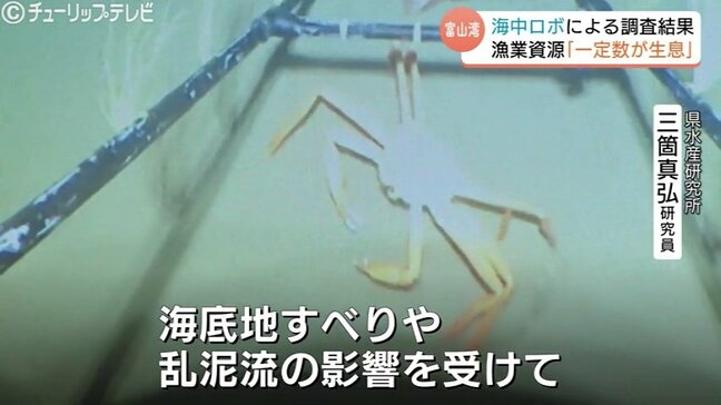 シロエビとベニズワイガニの生息確認　地震で激減の富山湾の水産資源　海中ロボの調査結果受け「調査結果参考にしながら漁を」|TBS NEWS DIG
