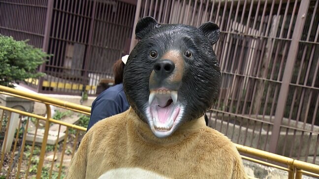 「ツキノワグマが獣舎から出た」想定で動物園で訓練 客を安全な場所へ誘導し「麻酔銃」【岡山】|TBS NEWS DIG