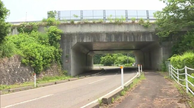 80代男性がクマに顔引っかかれけが…早朝に散歩中、2頭に遭遇　親子グマか　福島・西会津町|TBS NEWS DIG