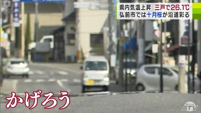 青森県内で2024年初の「夏日」　三戸町では最高気温『26.1℃』　陽気に誘われ弘前市では「十月桜」が一気に花開く　|　青森のニュース│ATV NEWS│青森テレビ