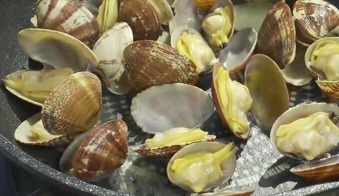うま味溢れる！旬の熊本県産アサリ　漁師直伝の“砂抜き方法”と“絶品レシピ”を紹介　|　熊本のニュース｜RKK NEWS｜RKK熊本放送