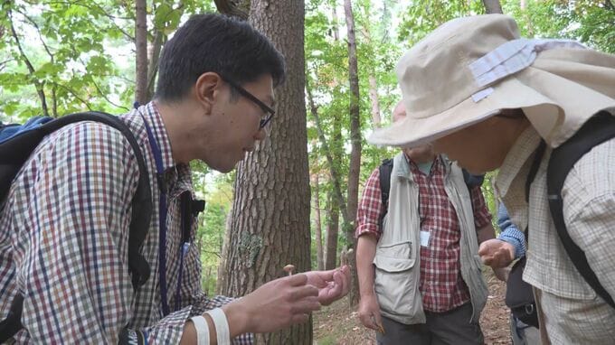 「採って楽しい　食べておいしい」秋のキノコシーズン 愛好家が観察会|TBS NEWS DIG