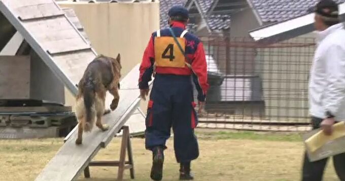 能登半島地震でも活躍 行方不明者の捜索を行う「災害救助犬」の審査会|TBS NEWS DIG