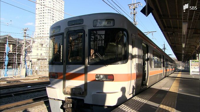 パンタグラフに“コウモリ”が…JRの運転士が発見 撤去と安全確認で身延線に運休と遅れ 山梨・甲府駅構内【JR東海】|TBS NEWS DIG