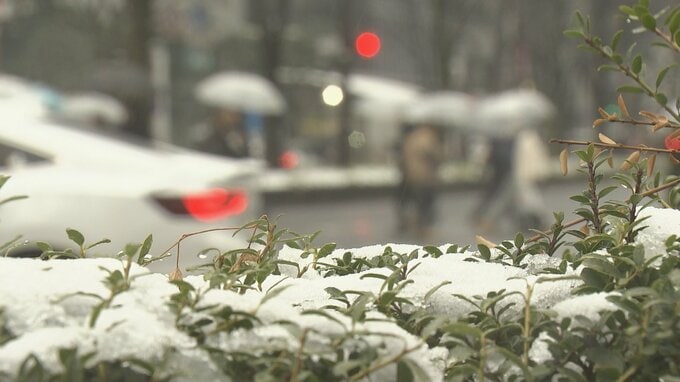 【速報】雪道に注意を　国道45号線でスリップ事故　片側交互通行規制　宮城・気仙沼　|TBS NEWS DIG
