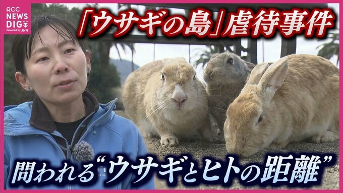 ウサギの”不審死“が相次いだ事件　「ウサギの島」大久野島　観光客の餌がないと生きられない環境に　専門家からはウサギとヒトの“距離”を問い直す声も|TBS NEWS DIG