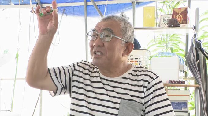 暑さ厳しい被災地の「ビニールハウス生活」は大丈夫か 能登各地で真夏日観測　　|　石川県のニュース｜MRO北陸放送