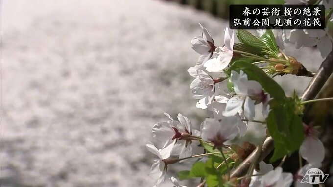 「感動しっぱなしで最高」ひたすらに美しい　自然が織りなす“春の芸術”に包まれる青森県　春爛漫　桜の絶景|TBS NEWS DIG