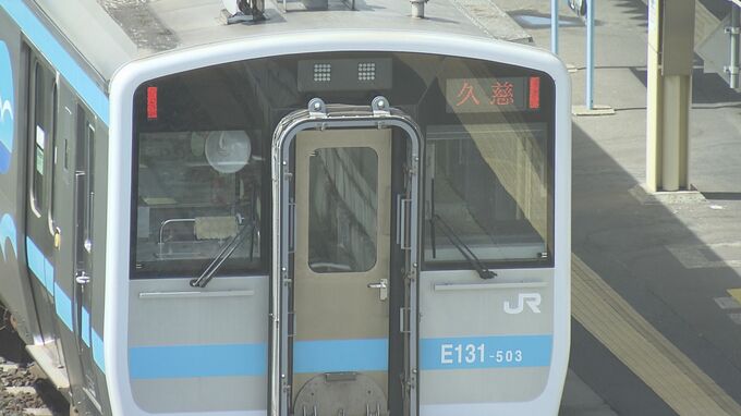 JR八戸線　線路上の倒木に接触で運転見合わせ　上下各1本が運休　下り1本で遅れ|TBS NEWS DIG