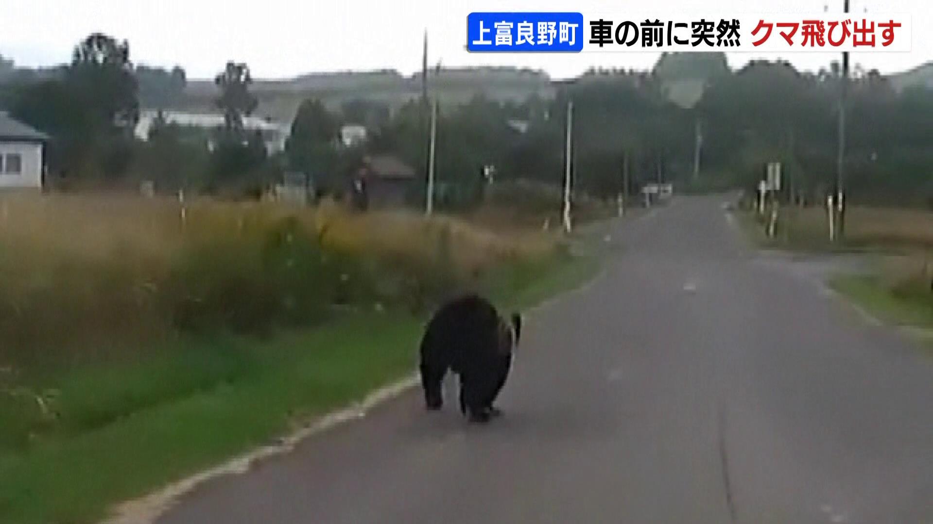 危ね！マジで！おいおい」道路に突然クマが飛び出し「うそ！」車の前を